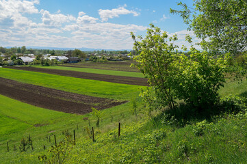 Beautiful landscape of a green agronomy field with blue sky and clouds.