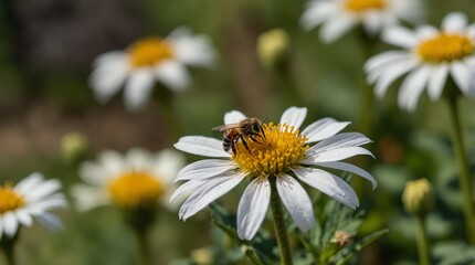Fototapeta premium photo of a bee on a flower with a flower garden background made by AI generative