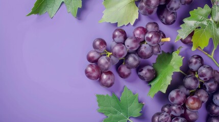 Fototapeta premium Red Grapes and Green Leaves on a Purple Background