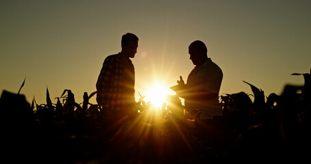 Silhouettes of two farmers talking in a field against a picturesque sunset, uses a tablet.
