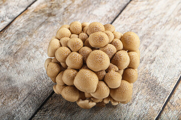 Raw asiam delicacy mushroom Shimeji