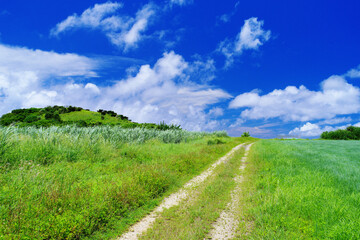 沖縄県小浜島　草原と夏空と伸びる一本道