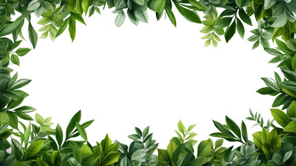 Tropical leaves foliage plant bush floral border isolated on clear png background and transparent background. Fresh and nature concept for nature decorative and flower element, AI generative.
