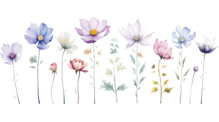 Set of watercolor wildflowers painting isolated on clear png background and transparent background. Fresh and nature concept for nature decorative and flower element, AI generative.

