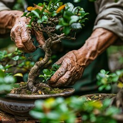Naklejka premium a person holding a bonsai tree in their hands