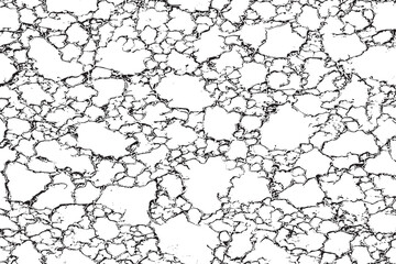 Vintage Black and White Distress Overlay Texture