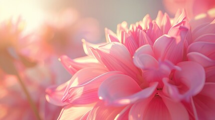 Obraz premium A detailed view of a pink flower with a blurred out background