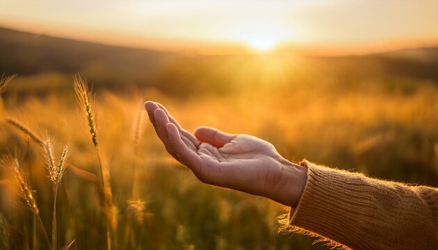 Offene Hand, die sich dem goldenen Sonnenlicht entgegenstreckt, symbolisiert Hoffnung, Spiritualit&auml;t und Verbundenheit mit der Natur in einer warmen, leuchtenden Atmosph&auml;re