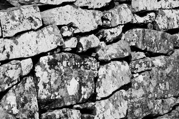 The old wall