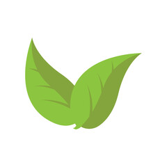 Green leaves isolated on background. Vector illustration