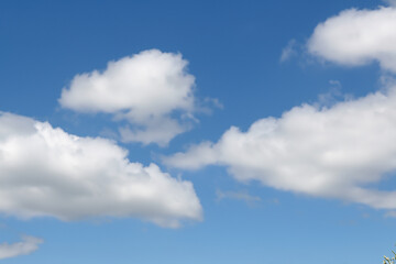 Obraz premium Clouds and cumulus the sky in nature. cloud cloudy blue concept. fluffy white clouds in the sky. clouds and white cumulus in nature with fluffy lifestyle clouds in the sky.