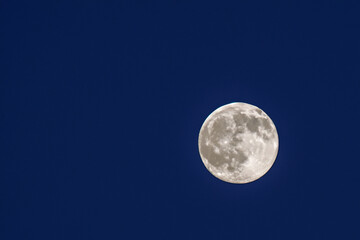 Fototapeta premium Disk of moon in the sky at night. Moonlight midnight time concept. Full moon in the sky at night. A full moon and disk of clouds in the lifestyle sky at night.