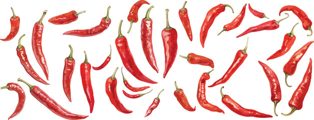 chili pepper watercolor clipart