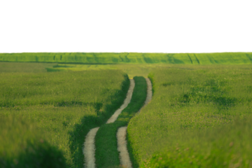 summer landscape with  road and clouds in the blue sky