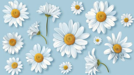 Fototapeta premium Daisy and Blue Background Sticker Collection: Lovely and Refreshing Designs on White Background