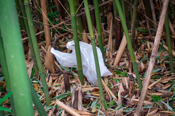 竹藪に捨てられたゴミの写真。環境問題のイメージ。