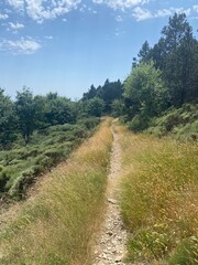Sentier de randonnée dans les Cévennes