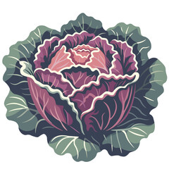 red cabbage in realistic flat color block vector illustration good for cartoon or animation