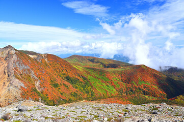 燃える紅葉と青空の那須高原