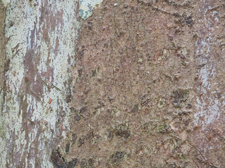 Fresh bark has a natural pattern.