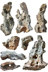 Obraz premium A collection of driftwood pieces arranged on a white background