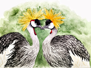 crowned crane two bird illustration