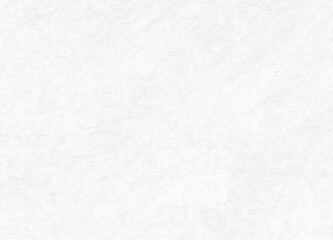 Fototapeta premium Paper Texture White Background