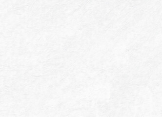 Obraz premium Paper Texture White Background