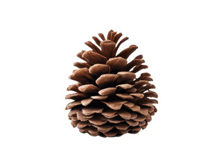 Pine cone showcasing rich textures and natural isolate on transparent background, cutout, png