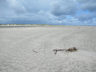 Grenen - Treffen von Nord- und Ostsee