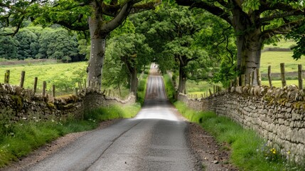 Country lane bordered by stone walls and tall trees
