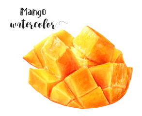 Stock illustration of mango fruit slices in watercolor, with vibrant colors and detailed design