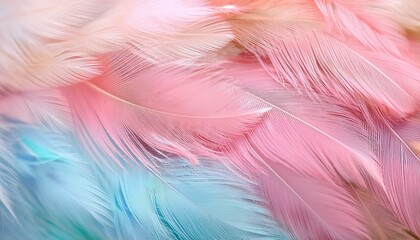 Obraz premium パステルカラーの鳥の羽の背景画像（Background image of bird feathers in pastel colors.） 