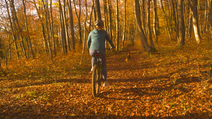 Fototapeta premium Young lady riding through autumn forest on electric bike with a dog by her side