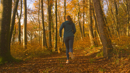 Fototapeta premium Young woman runs together with her active dog through colorful autumn forest