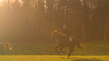 LENS FLARE: Smiling lady gallops on her beautiful stallion across green meadow