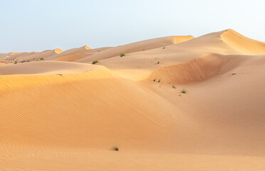 Big orange desert sand dunes in the middle of Wahiba desert, Oman