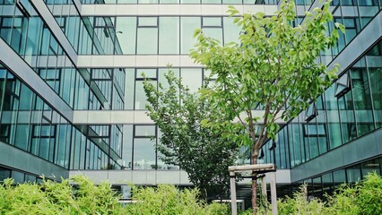 Lush green plants in a landscaped garden in front of a modern glass fronted office block blowing in...