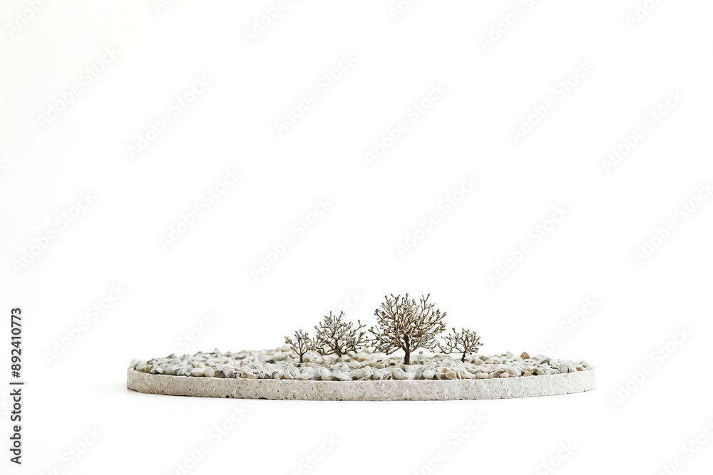 Wall mural Minimalist Bonsai Tree