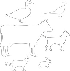 Set of black-and-white cartoon animals and bird creatures. Vector illustration isolated on white background with transparent background.
