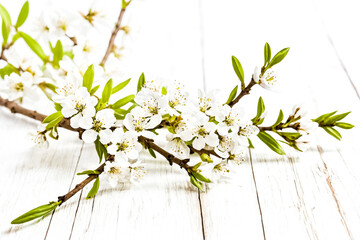 White Flowers with Green Leaves on White Wooden Background