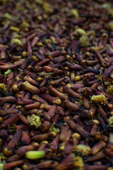 Dried cloves, traditional food spice