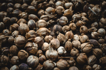 Dried cardamom, a traditional spice for food