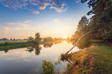 A beautiful sunset over a lake with a tree branch sticking out of the water