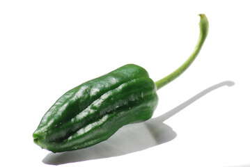 Pimientos de Padron. Typical tapa made from roasted peppers from the Spanish province of Galicia