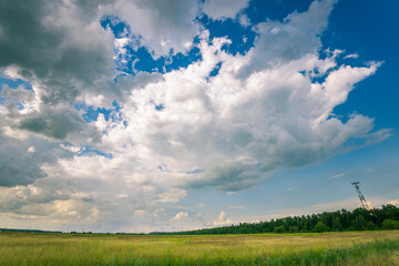 A large, fluffy cloud hangs low over a field of grass