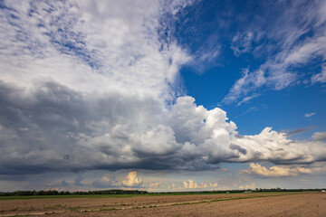 Fototapeta premium A cloudy sky with a few clouds in the distance