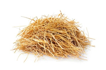 A stack of fresh hay on a clean white background