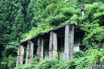 滋賀県長浜市土倉鉱山跡のコンクリート構造物と森