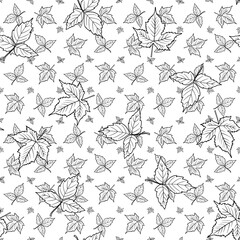 Seamless contour pattern black and white drawing of a bunch of maple leaves. Hand drawn repeating paint. White background